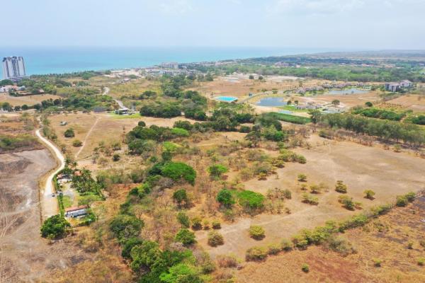 4.4-hectare land opportunity near buenaventura