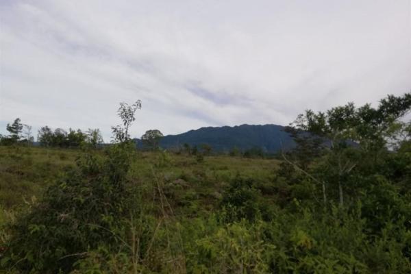 Amplios 5 hectáreas en venta en alto boquete