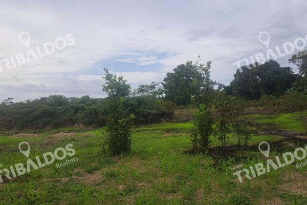 Venta de terreno en juan hombron con edificación