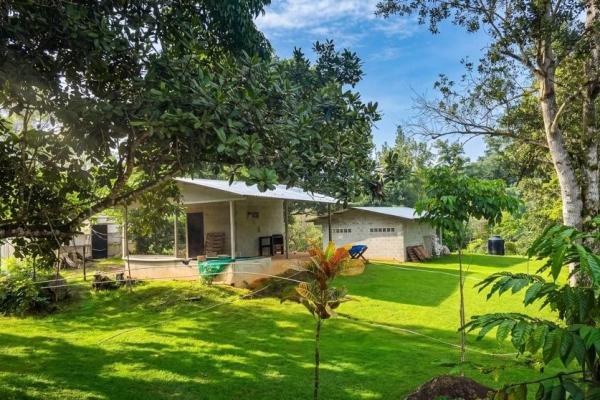 Coffee farm for sale in el cascajal, la pintada