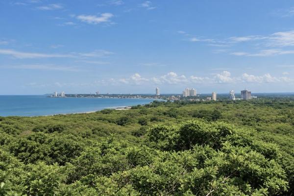 Venta de terreno en punta chame, nueva gorgona