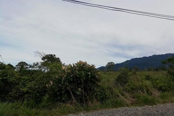 Amplios 5 hectáreas en venta en alto boquete