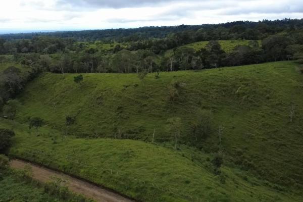 Finca con tierra negra, pasto, clima fresco y bien ubicada.