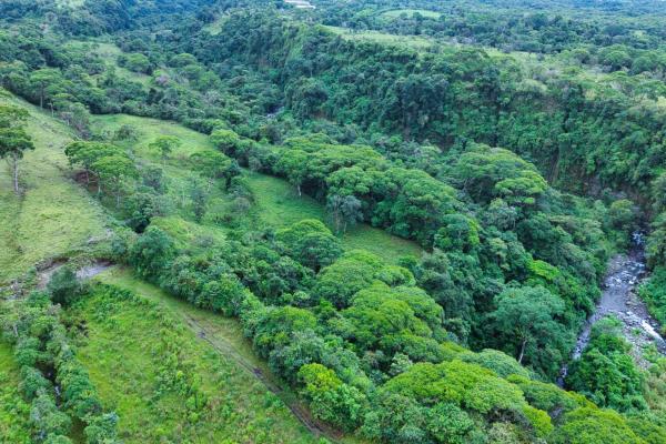 Naturaleza, espacio y potencial en un solo lugar