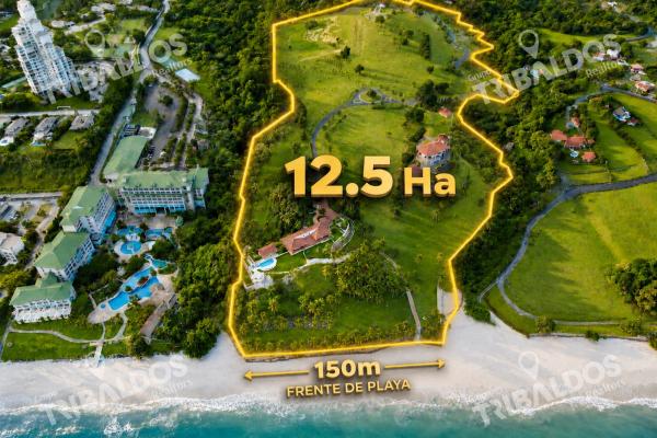 Terreno para desarrollo al lado del hotel gran evenia bijao, frente al mar