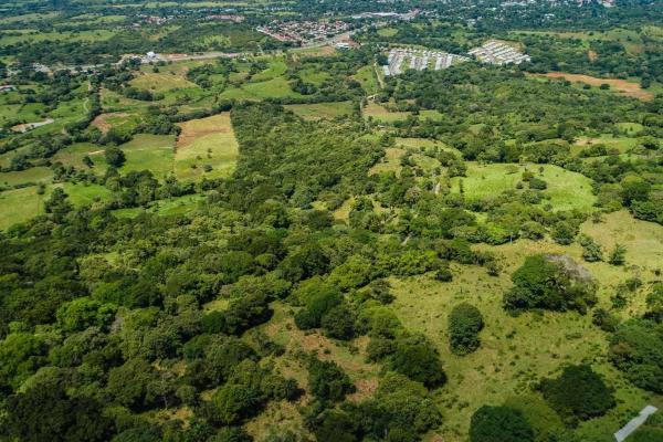 Expansive land for sale in las lomas, david