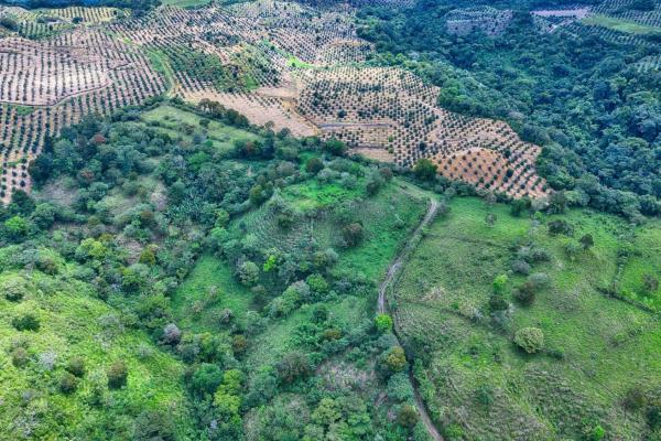 55.74 hectares of paradise in the mountains