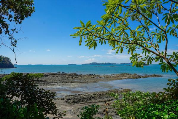 2-hectare beachfront property