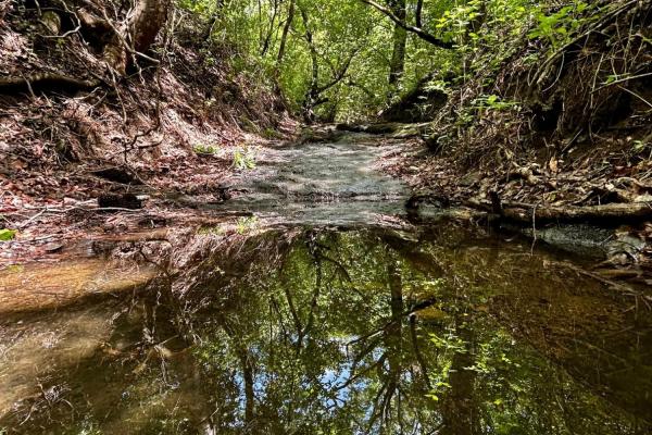 10ha estate in sorá with forest & waterfall!