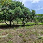 Se vende terreno en punta barco
