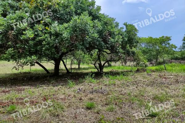 Se vende terreno en punta barco