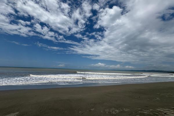 +9 hectáreas de terreno plano frente al mar en venta
