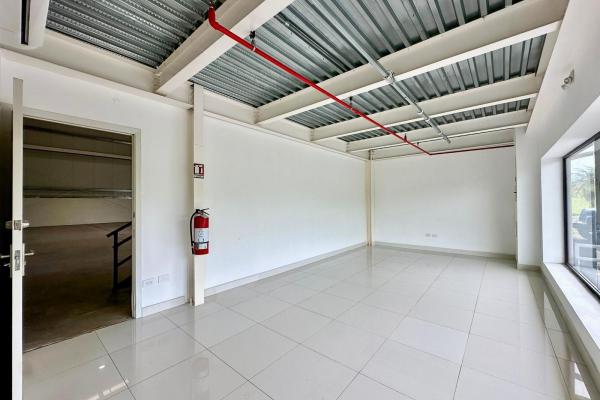 Logistics warehouse for sale in tocumen