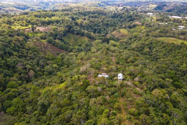 Finca cafetalera en venta en potrerillos arriba