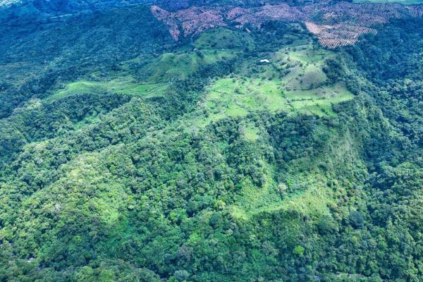 55.74 hectares of paradise in the mountains
