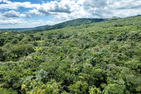 22 hectares of pristine land caldera panama