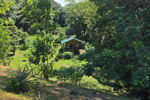 Coral bay bungalows - luxury overwater resort