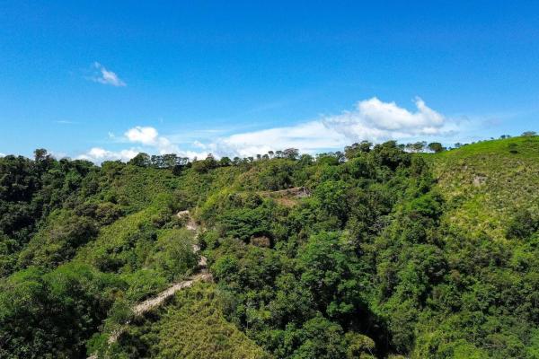 Expansive 146.652 ha property with water sources