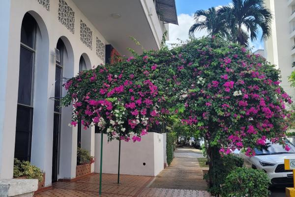 For sale apartment with character in el cangrejo