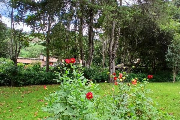 Beautiful park property in high-altitude location
