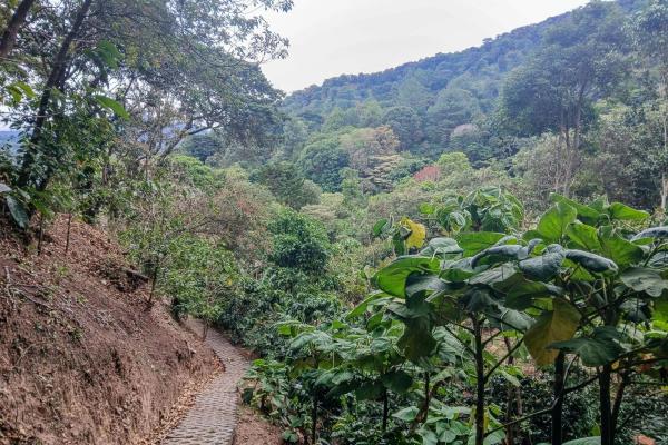 Cabaña con vistas al volcán barú en venta en jaramillo