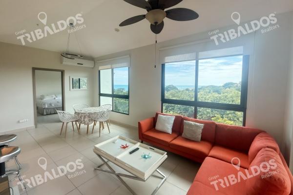 Alquiler de apartamento en ph galeones, ensenada beach club