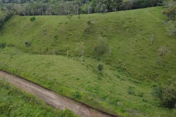 Finca con tierra negra, pasto, clima fresco y bien ubicada.