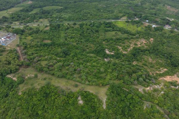 Land for sale 9.9 hectares in san carlos