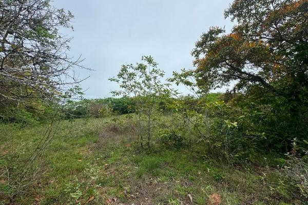 Venta de terreno de 9.9 hectáreas cerca de playas en el higo, san carlos