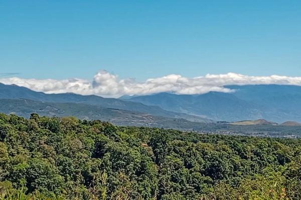 22 hectares with creek and mountain views