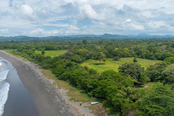 +9 hectares of flat beachfront land for sale