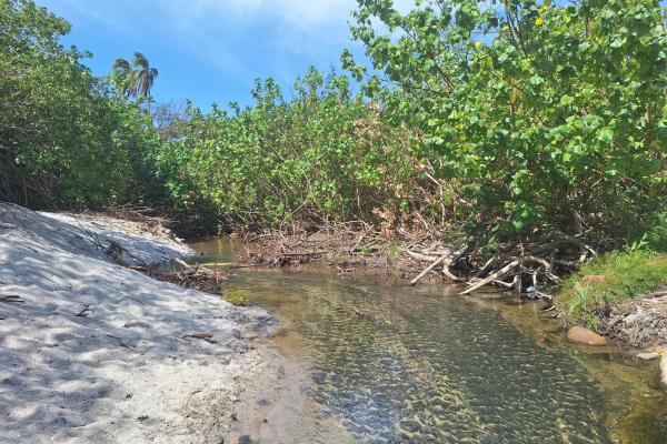 Vendo terreno de playa en playa piedras gordas