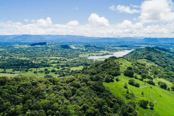 Expansive land for sale in las lomas, david