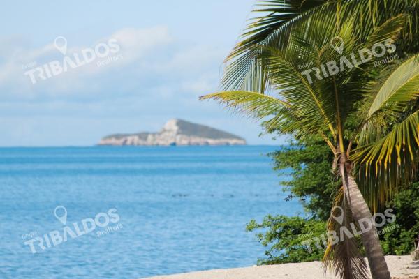 Terreno frente al mar en venta en río hato | 18 hectáreas | us$38/m²