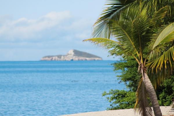 Oceanfront land for sale in río hato | 18 hectares
