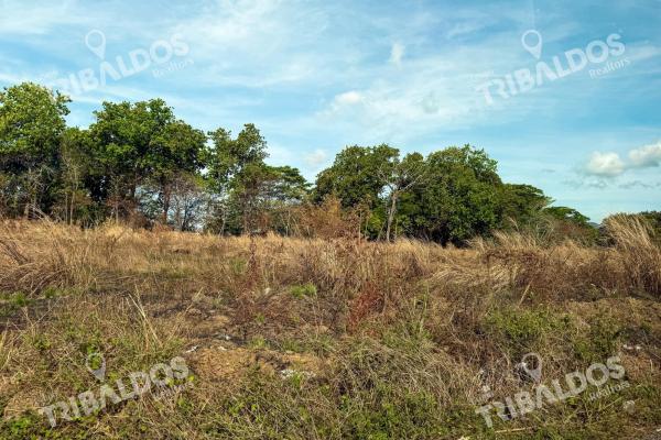 Venta de terreno de 29ha en pacora