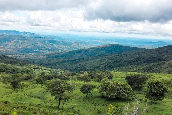 11 hectares land for sale in caldera boquete
