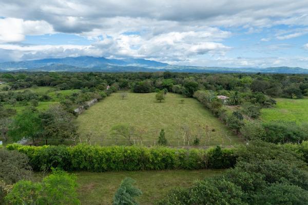 Prime flat land for sale in cochea abajo, david
