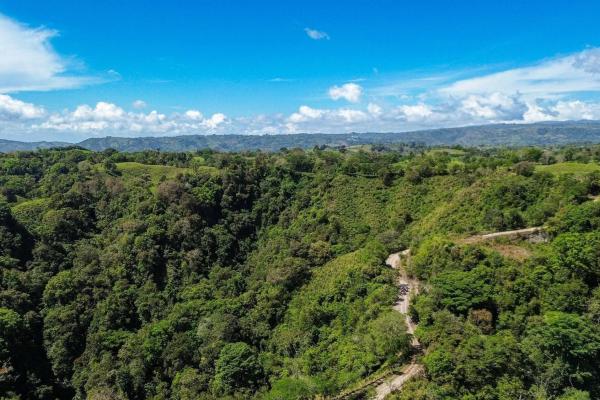 Amplia propiedad de 146.652 ha con fuentes de agua