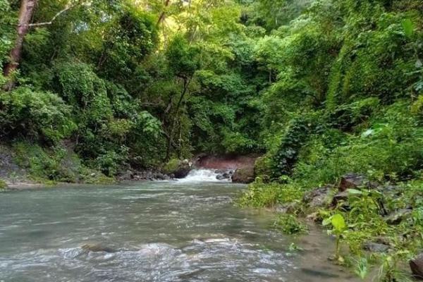 22 hectáreas dentro de altos del maria con vistas maravillosas