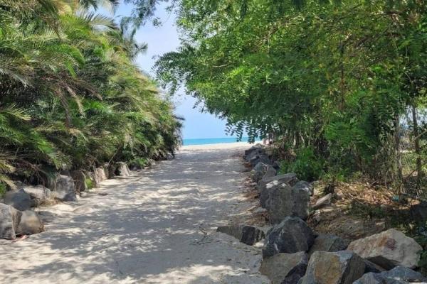 4.4-hectare land opportunity near buenaventura