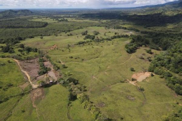 Venta de finca margarita chepo 200 has