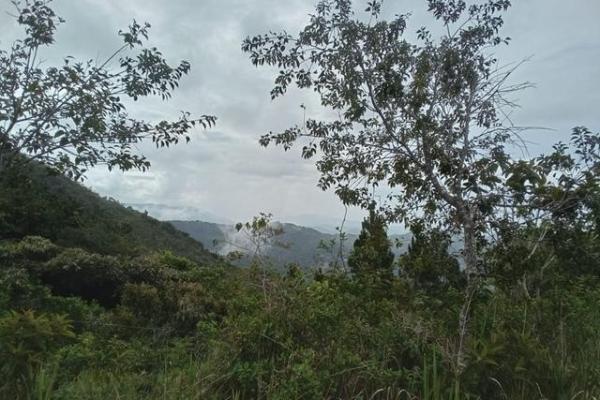 22 hectares within altos del maria with views