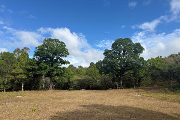 Luxury view-building lot in alto jaramillo boquete