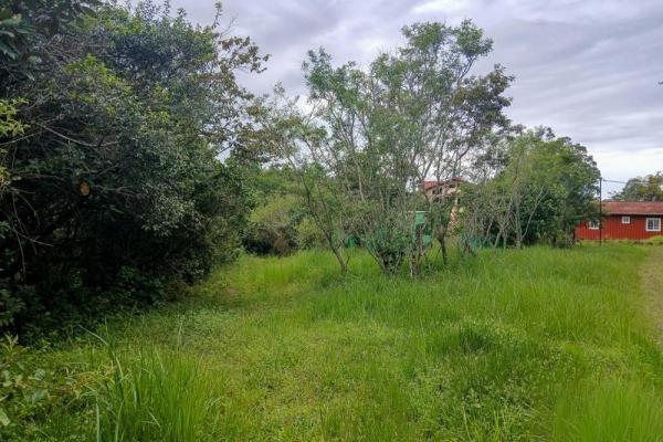 Amplio terreno plano de 9.229 m² en alto boquete
