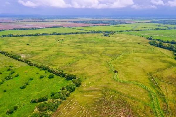 Operating rice farm for sale