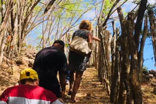 Finca de desarrollo de 26 hectáreas con vistas al océano y a la montaña.