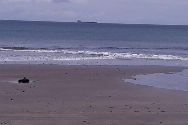 Land 172 acres in puerto armuelles, limones io