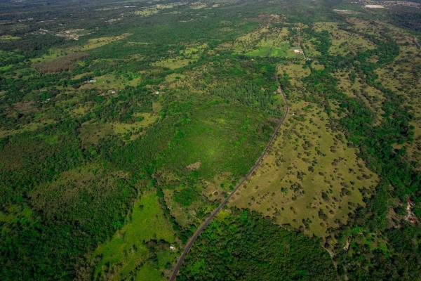10 hectares for sale in caldera boquete