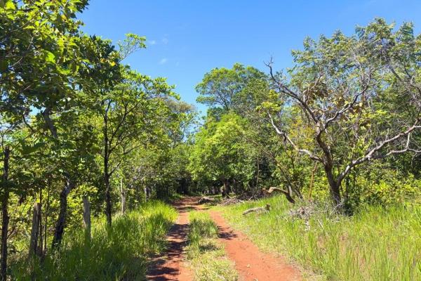 Spacious 59,086 m² land in síndigo, caldera